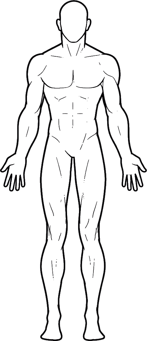 man front anatomical view